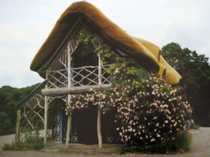 Casa Construída de Madeira Caída
